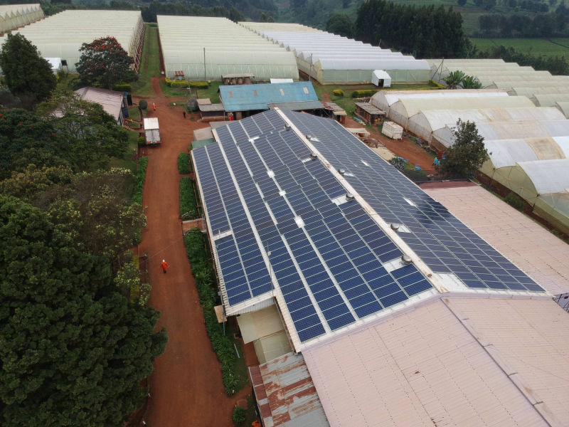 175 kW grid-tied | 2 days, Black Petals, flower farm, Kenya