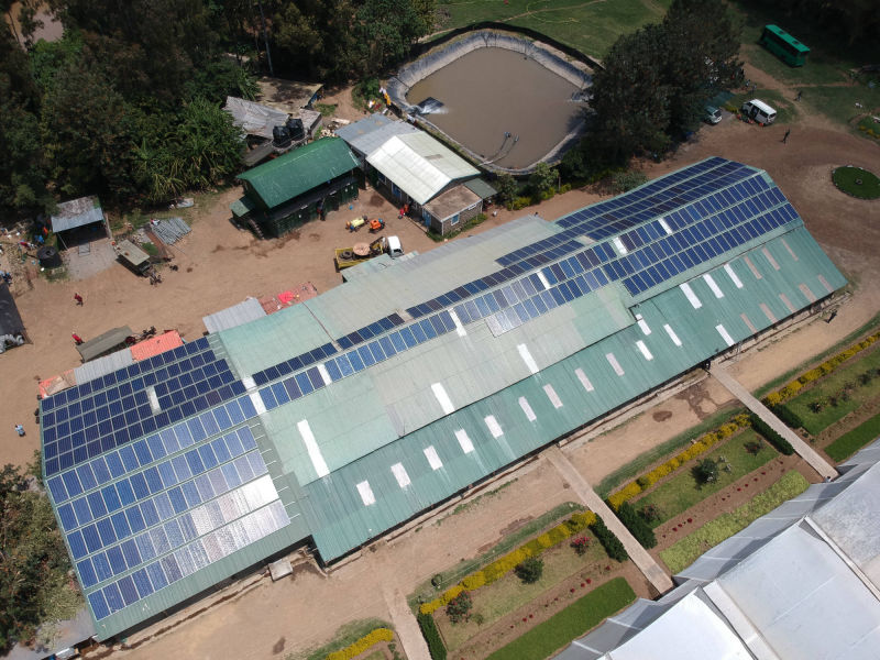 120 kW grid-tied | 2 days, Sun Floritech, flower farm, Kenya