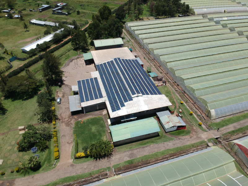 294 kW  grid-tied | 2 days, Eco Roses, flower farm, Kenya
