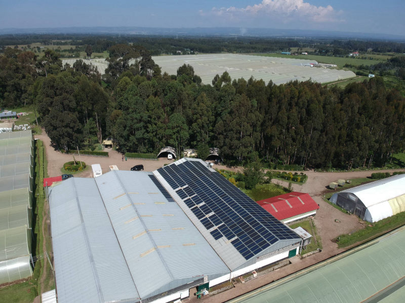 180 kW grid-tied | 2 days, Laurel, flower farm, Kenya