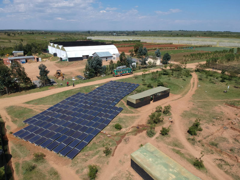 60 kW grid-tied | 1 day, Kubali, herb farm, Kenya